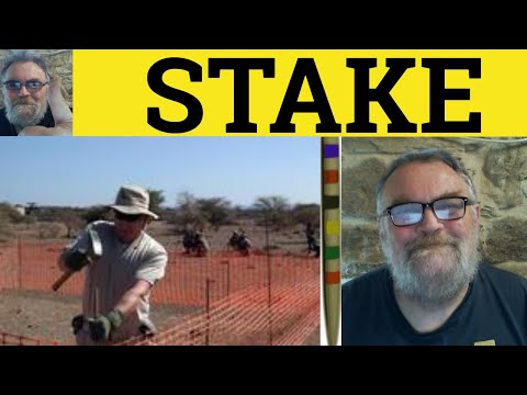 Introduction aux Conditions Générales de Stake-casinofr