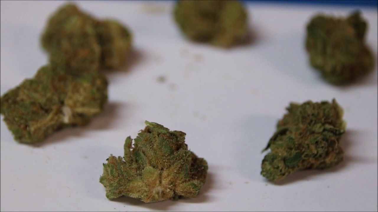 Skord West Seattle CBD Strain Legal Weed Review 420 review