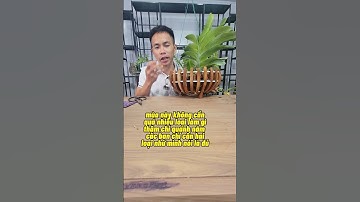 CHĂM SÓC HOA LAN ĐAI CHÂU ĐANG RA NỤ #hoalan #chamsochoalan #orchid #namxelan