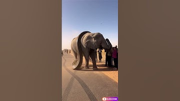Giant python fighting with elephant on busy road, #flyingsnake #treepython #snakelogo #worldsnake