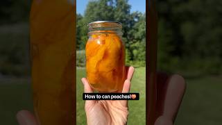 How To Can Peaches For Long Term Food Preservation