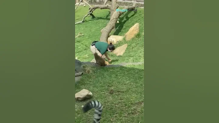 Last One 😂😂😂 #viral #shorts #funny #fails #comedy