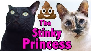 The Stinky Princess (Official Music Video)  N2 Cat Crew S1 Ep3 [Funny Cat Video]