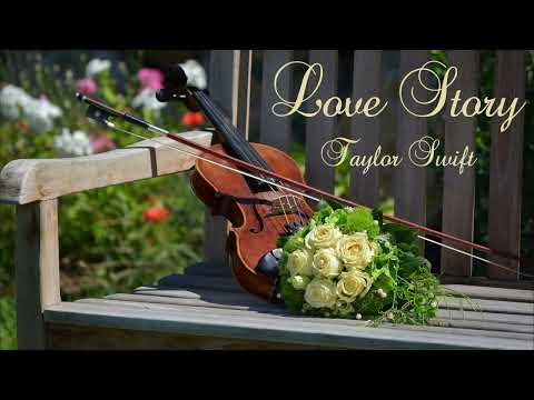 Love Story - Violin Cover | violinMoments