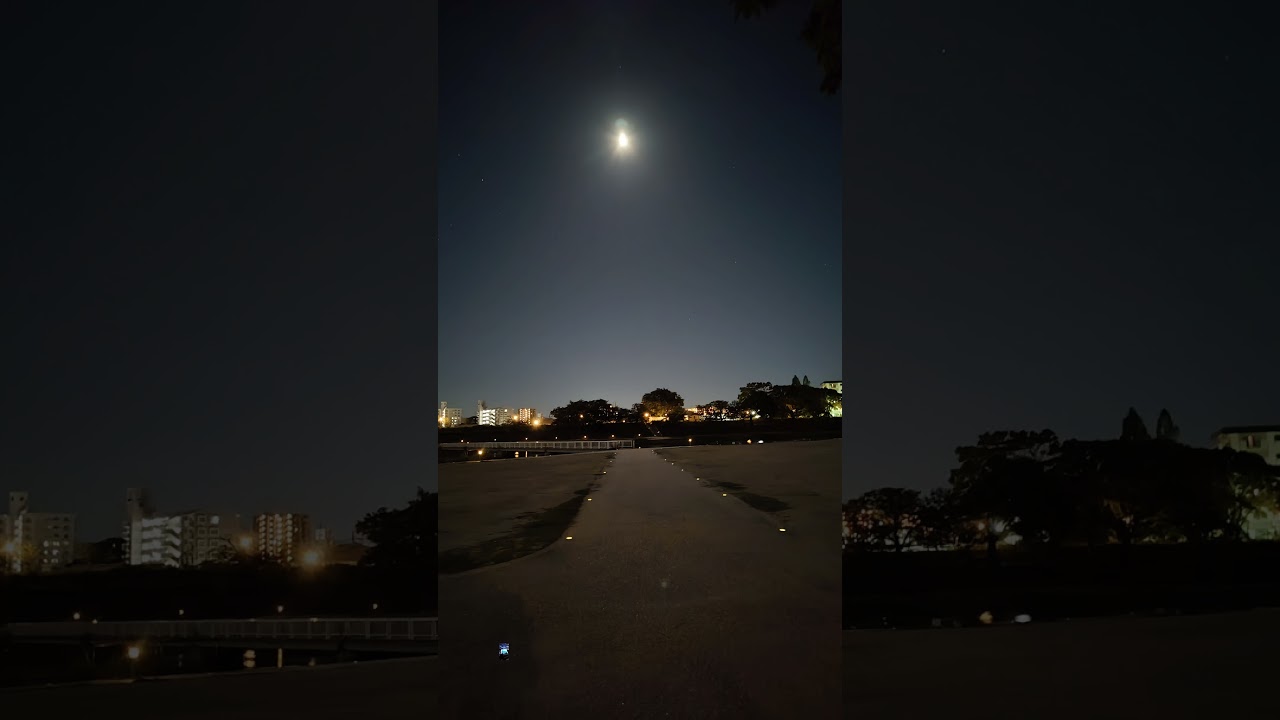 ♬ 君をのせて Cover