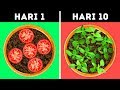 24 IDE JENIUS UNTUK KEBUN ANDA