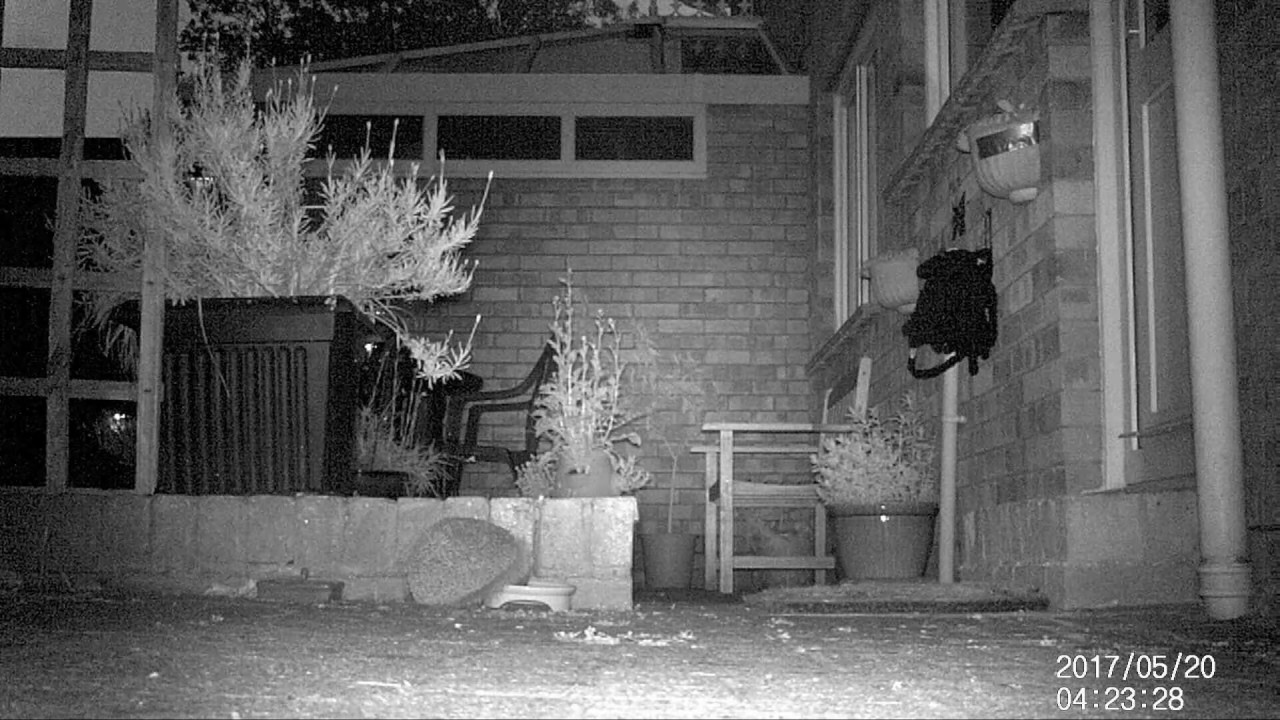 hedgehog night vision camera