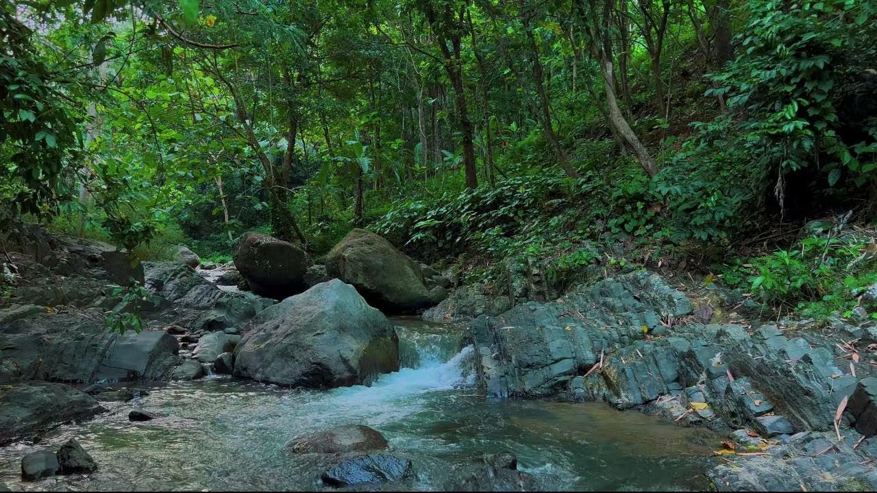 Beautiful River Sounds for Deep Sleep | Relaxing Water Ambience for Sleeping, Studying & Meditation