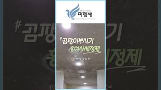 곰팡이 제거! 친환경 복원 기술! 국내유일 MSDS! 곰팡이 손 쉽게 제거 가능합니다. #청소업체 #복원 #곰팡이제거 #곰팡이청소