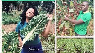 Green World Nutriplant Organic Plus Fertilizer Nopf