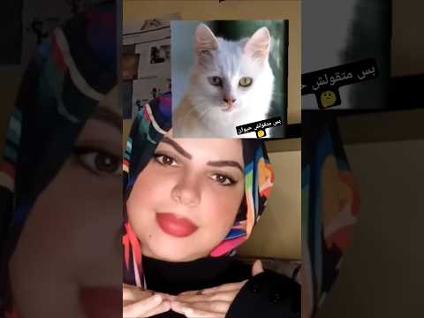 لا بمزح ولا مره بكينا اكسبلور