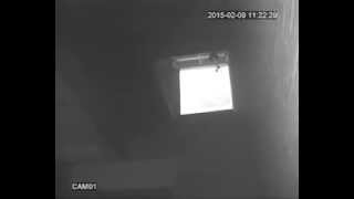 01 20150209 111319