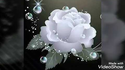 بعض من صفات عباد الرحمن من " سوره الفرقان "