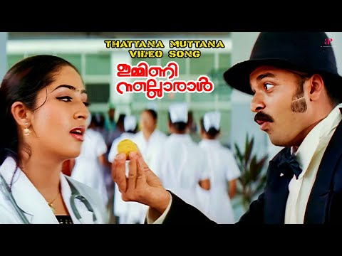 Thattana Muttana Song Lyrics