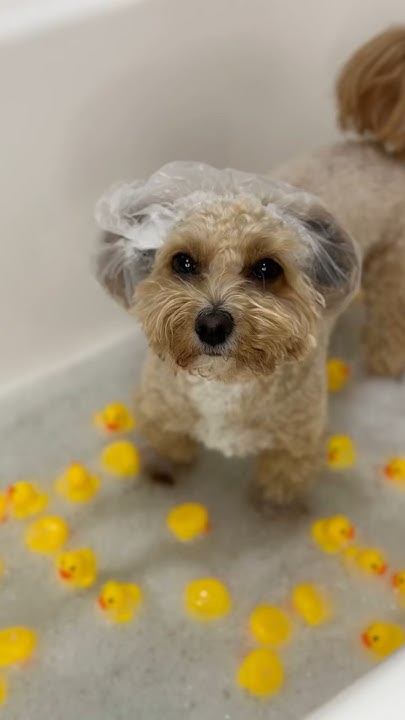 Плохо, когда не умеешь читать 😁 - YouTube