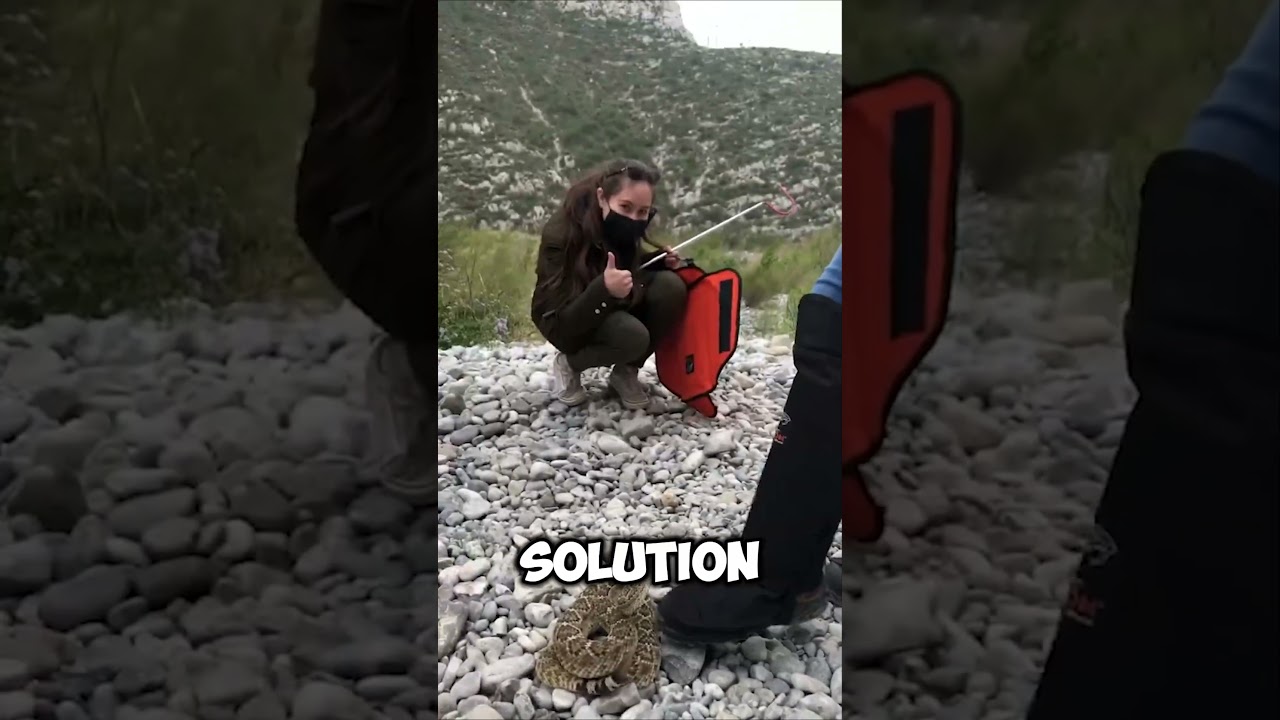 This cleaver invention will save your life😨🐍