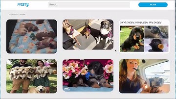 Picsty Demo