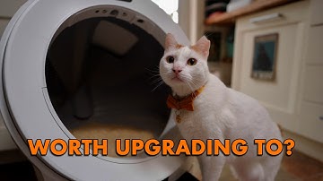 Litter-Robot 5, 5 Pro & EVO: In-Depth Review