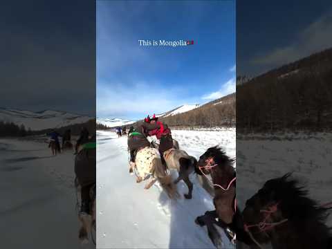 THIS IS MONGOLIA!