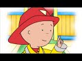 Caillou en Español: Capítulos Completos 2016  Dibujos Infantiles - Dibujos Pekes