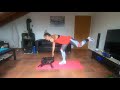 Mini Stepper Workout - III.Part - Lower Body, ABS