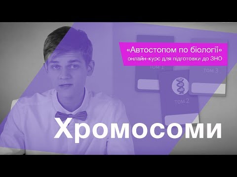 Видео: Хромосоми – Підготовка до ЗНО – Біологія