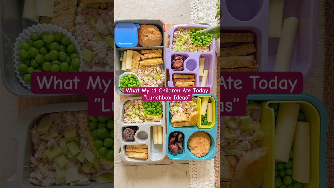 Feeding 11 Children: Healthy and Simple Lunch Box Ideas