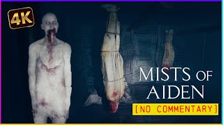 Mists of Aiden - Full Longplay Walkthrough Gameplay | 4K60fps | No Commentary