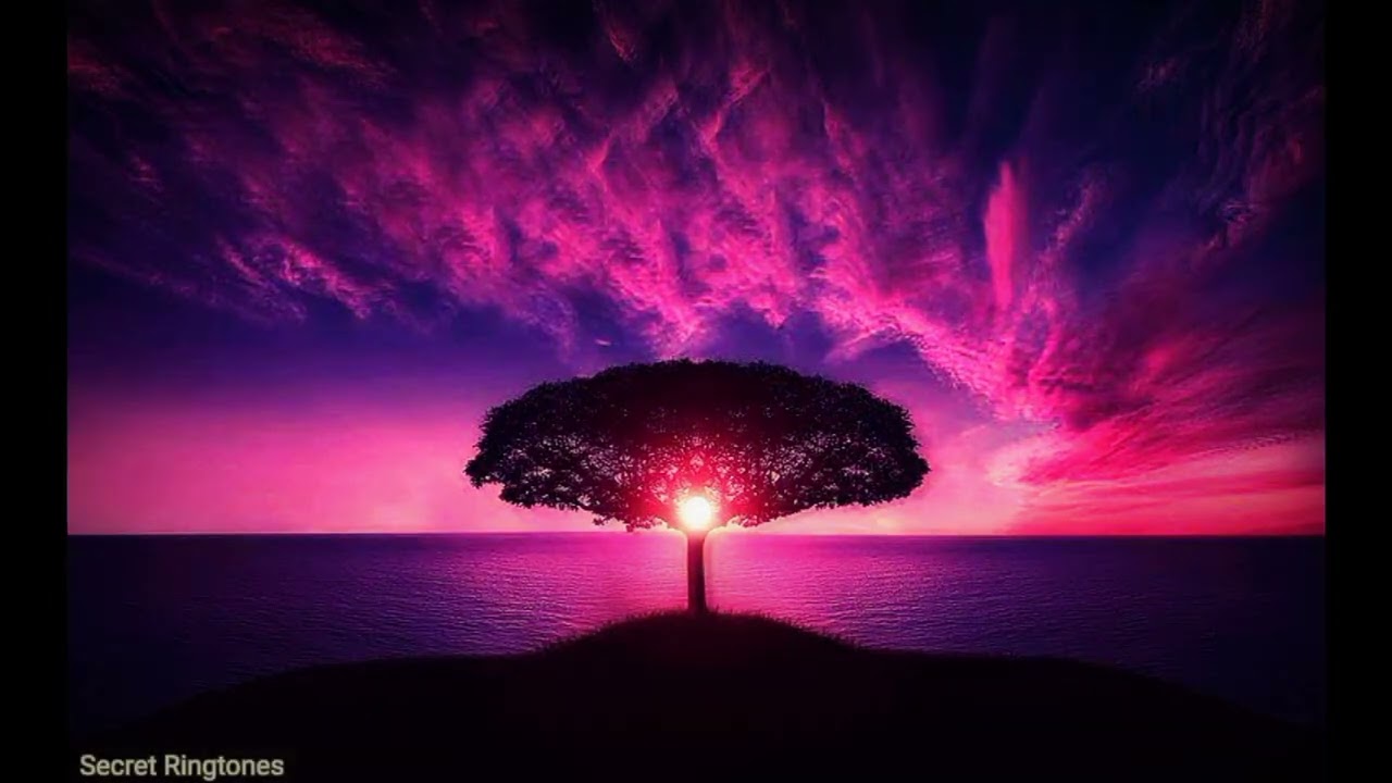 Let Go - Slowed - Ark Patrol | English Song Ringtone - New 2023 Ringtone//Secret Ringtones