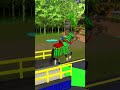 Can I Catch All the Runaway Animals?