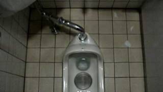 Japan - How to #45 - Japanese Toilet