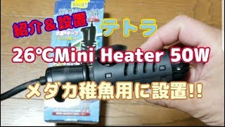 テトラヒーター２６℃Mini Heater 50W 紹介！白メダカの稚魚容器に設置!!