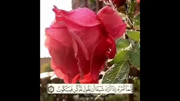 سورة : يس | الآية : « 82 » «83» | إنما أمره إذا أراد شيئاً أن يقول له كن فيكون ..