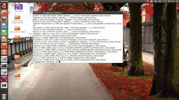 Comandos adduser-addgroup