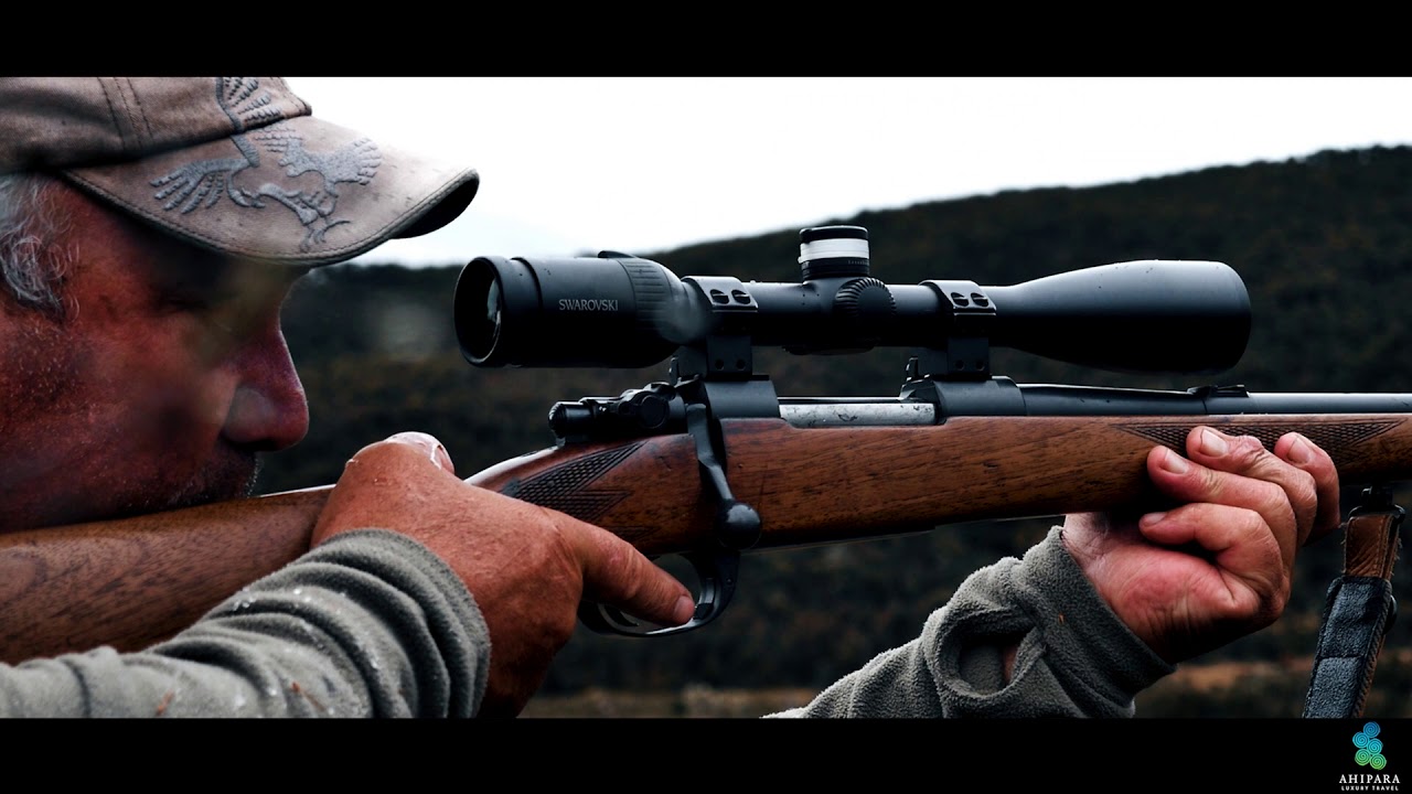 Hunting New Zealand 