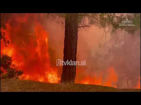 Video: Pse vullnetarisht zjarrfikës?