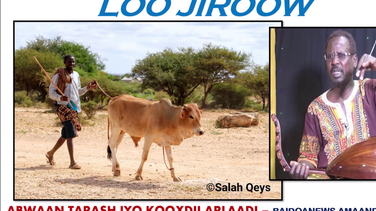 HEES MAAY QARAAMI HEESTII ALOOW LOO JIROOW CODKII ABWAAN TARASH IYO KOOXDII BERISAMAATKII ARLAADII