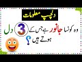 Paheliyan In Urdu - General Knowledge Questions And Answer -  Facts About Animal Heart - Sky Ways