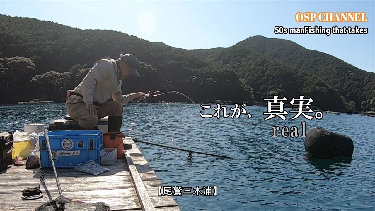 【かかり釣り】今回は、尾鷲三木浦を攻めました。なんか、三重県激渋なんですけどぉ。。(^-^;みなさん、どう？私だけではないですよね？(笑)共に、頑張って行きましょう！(^^)/