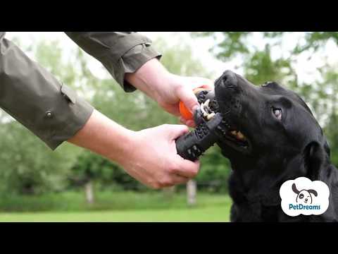 Video: Mundkræft (Chondrosarcoma) Hos Hunde