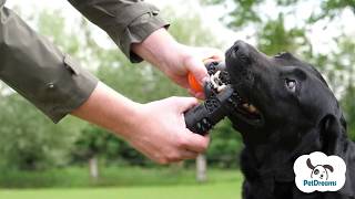 Hoppende kastepind legetøj til hunde