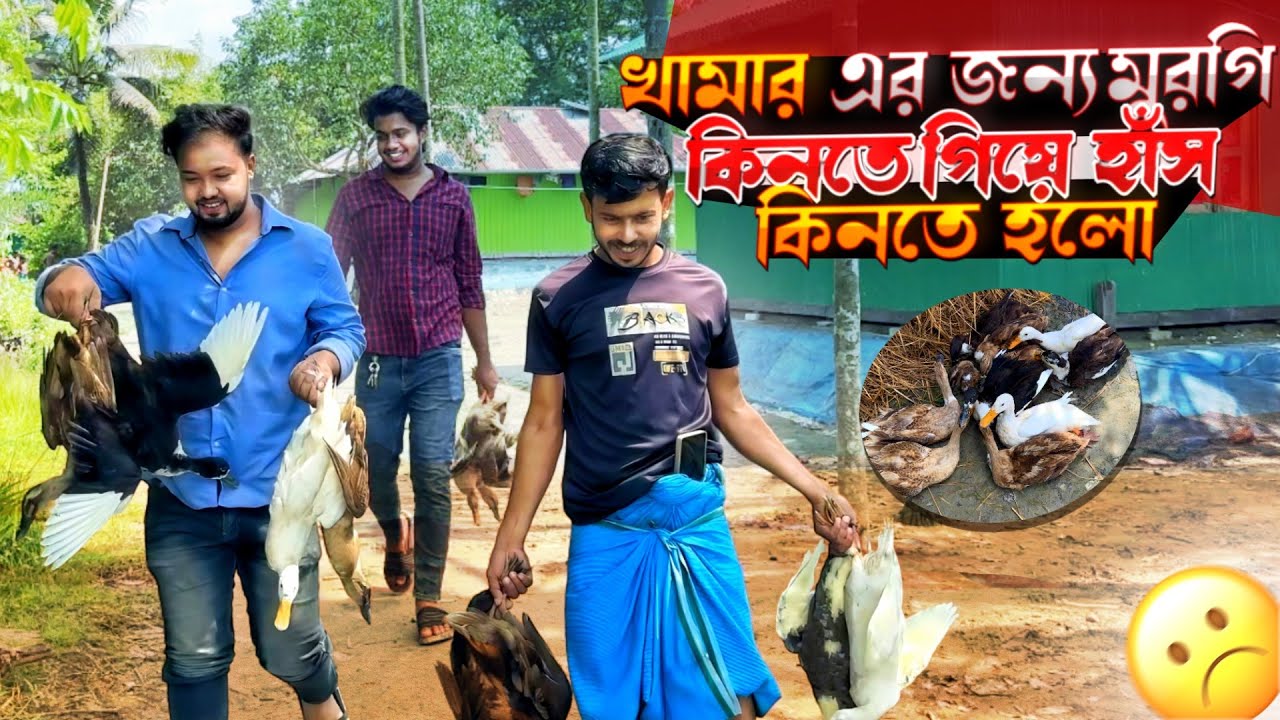 খামার এর জন্য মুরগি কিনতে গিয়ে🙁হাঁস কিনতে হলো