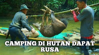 Camping 3 hari hujan deras mencari rusa jantan bermalam di dalam hutan masak dan makan