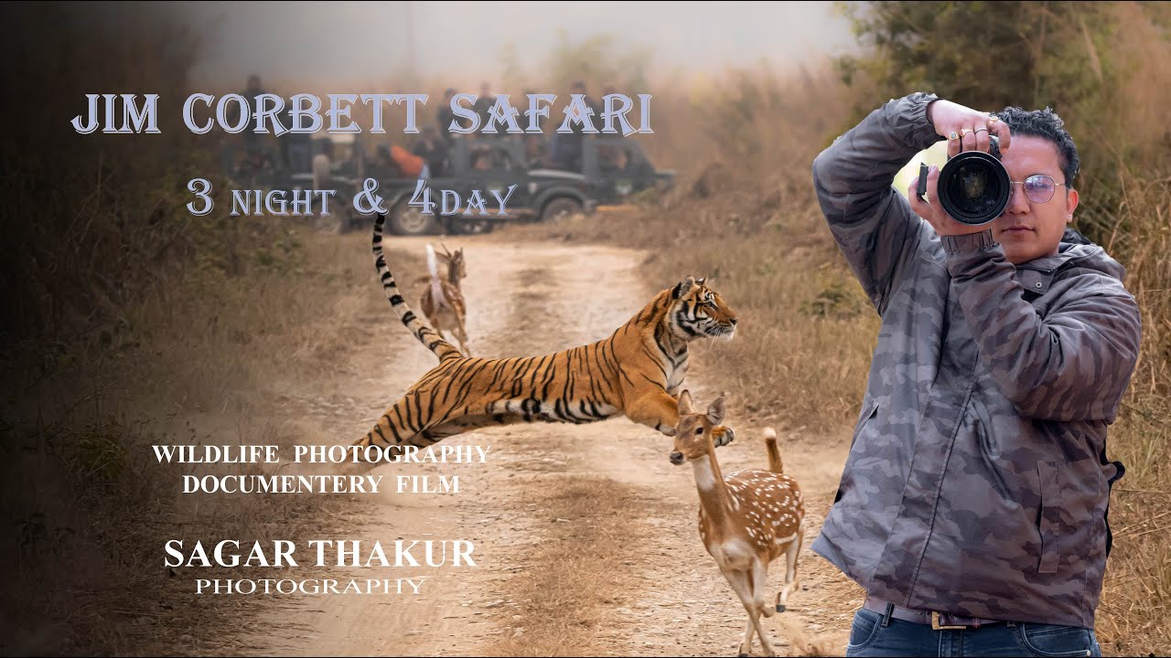 Wildlife Photography in Jim Corbett national park Uttarakhand INDIA