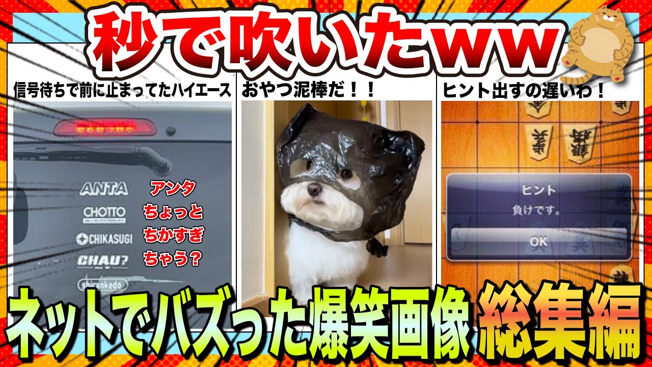 【🔥一気見スペシャル】年末はたくさん笑おうwwwネットでバズりまくったww爆笑画像＆動画集【2ch】【5ch】【ゆっくり解説】【コメ付き】【面白画像】【総集編】