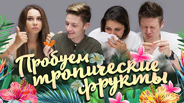 Co je recept apetitu?