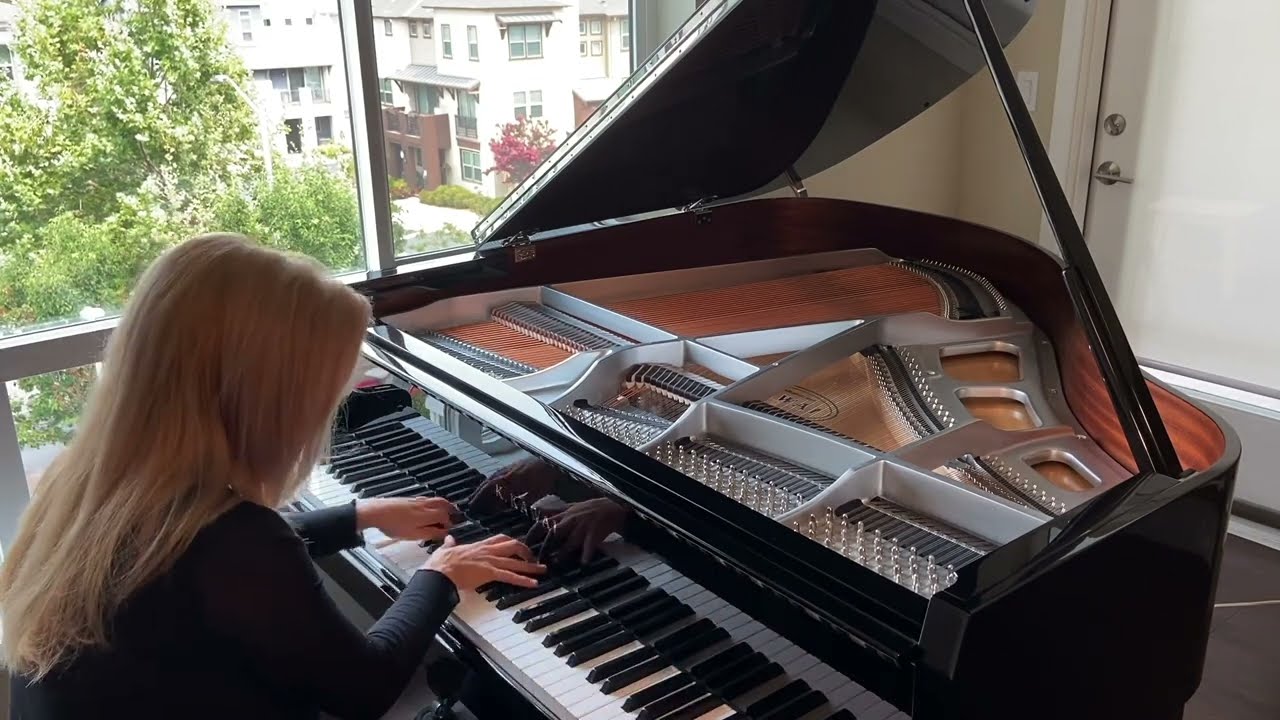 Un Sospiro from the Three concert Etudes, F. Liszt performed by Petra Persolja
