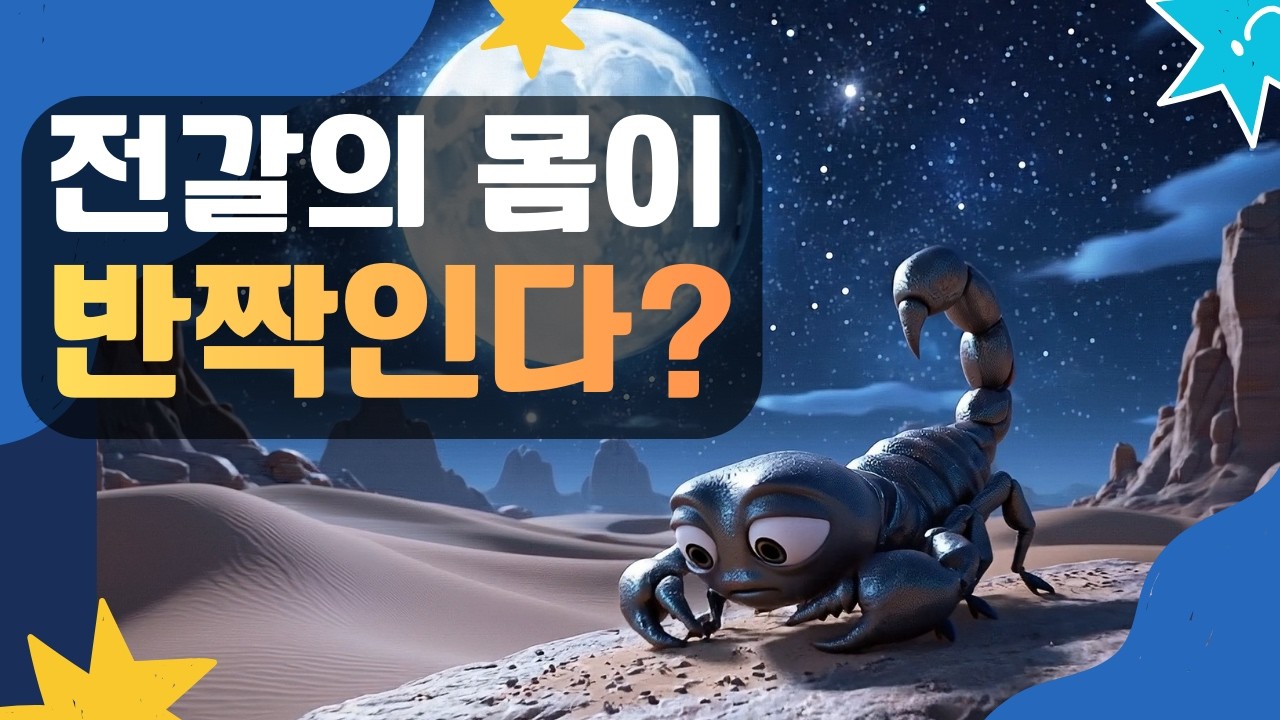 [동물 이야기] 전갈의 몸이 마법같은 빛을 만드는 이유 | 어린이 교육 애니메이션