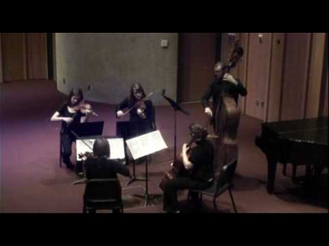 Antonin Dvorak String Quintet Op. 77, allegro con ...