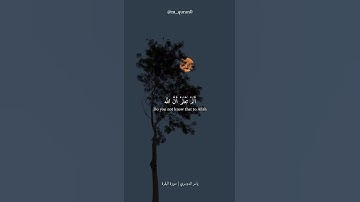 القرآن الكريم _ سورة البقرة _ ياسر الدوسري